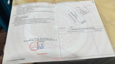 🏡 BÁN 2 LÔ ĐẤT MT QL 1A – THÔN P.N.ĐÔNG – ĐIỆN THẮNG NAM – TX ĐIỆN BÀN