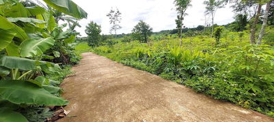 HẺM CẤP 1 PHAN HUY CHÚ