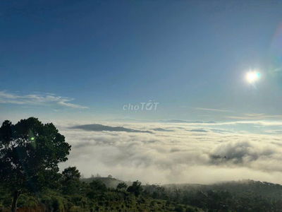 View săn mây núi Đại Bình - 1980m2 vuông vức giá tốt chỉ 2.9 tỉ