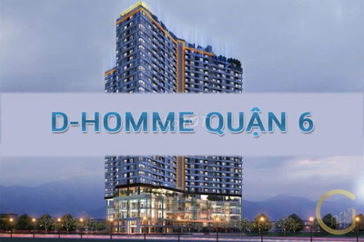 CHÍNH CHỦ CHO THUÊ CĂN HỘ D-HOMME QUẬN 6 – 2PN, CO RÈM + MÁY LẠNH