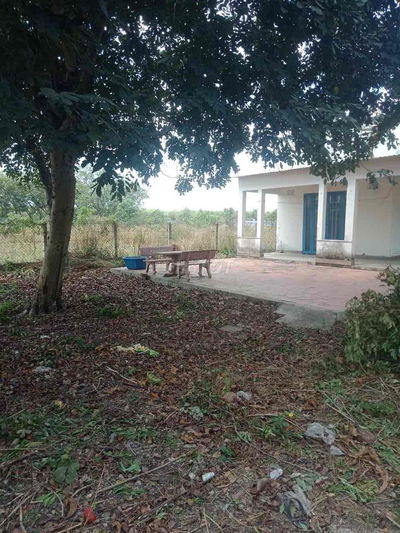 Nhà vườn full thổ cư