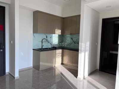 Celesta rise cho thuê 1pn cơ bản 10 triệu