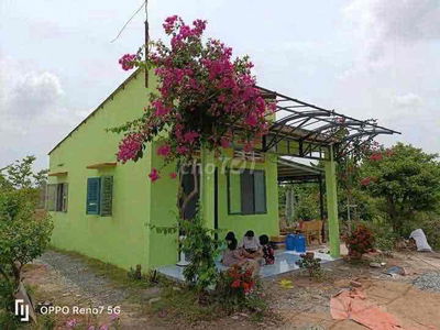 NHÀ vườn gần 3000m2 có 392m2 thổ cư đường xe hơi tới
