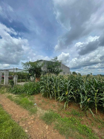 🔥 BÁN LÔ ĐẤT ĐẸP 852m² – CÓ THỔ CƯ – NHÀ SẴN – GIÁ CHỈ 900 TRIỆU 🔥 📍 V