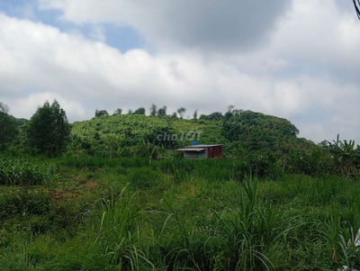 Đất cln VIEW Đẹp GIÁ TỐT Xuân Lập 2 sào. Thích hợp đầu tư, nghỉ dưỡng