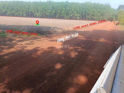 Kẹt tiền kinh doanh bán 11.600m2 nay thuộc ĐỒNG NAI