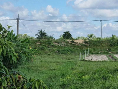 2000M2 TRUNG LẬP HẠ CỦ CHI VỊ TRÍ ĐẸP CỰC KÌ TÂM HUYẾT