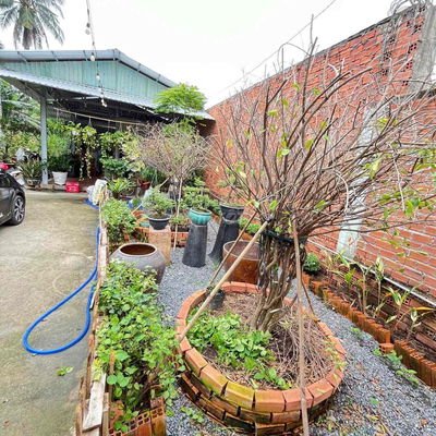 💥Đất Đẹp Thuận An 543m2 / 200m tc. Có Sẳn Nhà Mát và Vườn Cây Ăn Trái