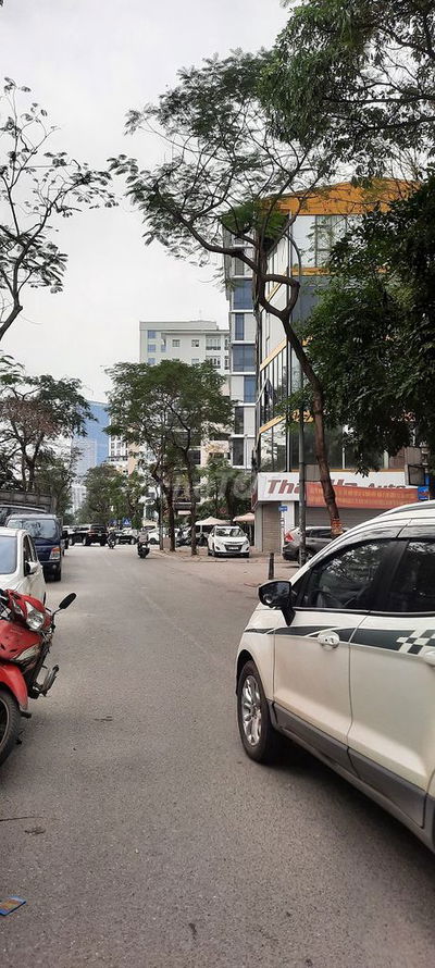 🏡 SIÊU PHẨM HIẾM – NHÀ 3 TẦNG TRUNG TÂM XUÂN THỦY, TRẦN QUỐC VƯỢNG !