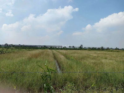 Đất bán HXH Ấp 3, xã Tân Thành, huyện Thủ Thừa, Tỉnh Long An
