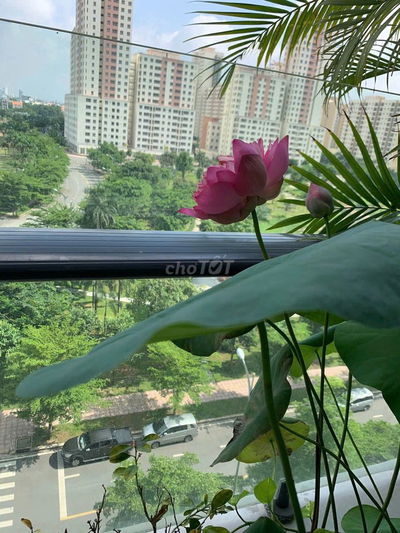 Căn 1PN- New City 14,5 triệu 30/7 hết HĐ. 01/08 nhận nhà luôn được