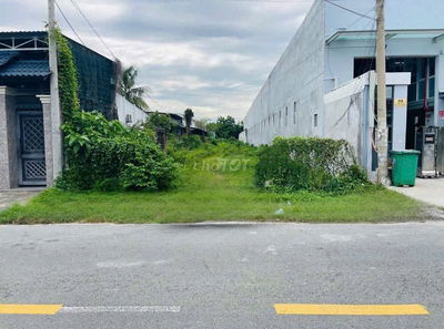 243m2 full thổ, đường Liêu Bình Hương,Củ Chi.Chốt nhanh để giá 330 Tr