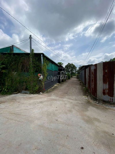 Giá rẻ bất ngờ