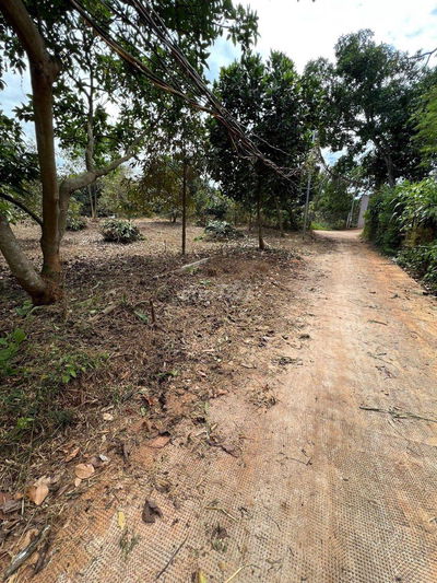 Bán thu hồi vốn