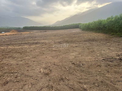 Đất  làm trang trại loại đât trồng cây lâu năm 10.000m2 bằng phẳng