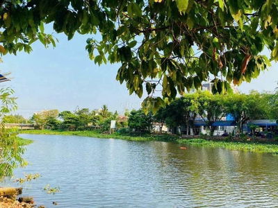 Lốc 6 lô còn 4 MT Sông Vàm Thuật . Đường Đang Làm.Gía Đầu Tư