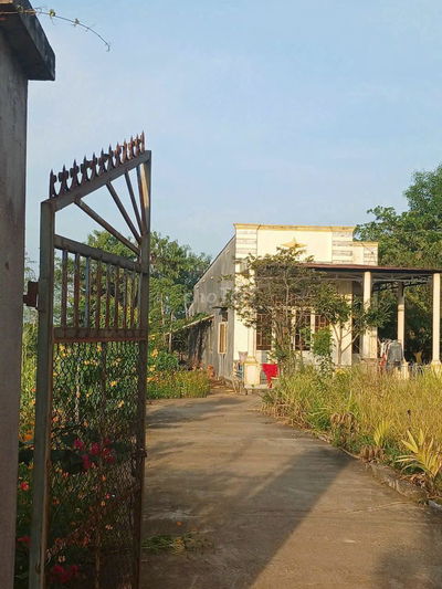 Bán Đất X. Xuân Trường, H.Xuân Lộc, QH Khu Dân Cư, 6300m2,Giá 5Ty3 TL