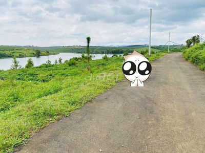 ĐẤT SÀO NGỘP VIEW HỒ BẢO LÂM