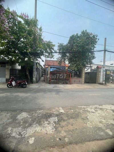 Nhà cấp 4 SHR mt Tam Đông 25-Thới Tam Thôn-Hóc Môn.8,5x22~188m2~6,5ty