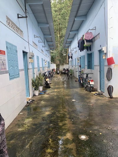 Bán Gấp Dãy Trọ 14phong Tân Phú Trung Củ Chi DT 300m2 BAO SỔ 1TY980TR