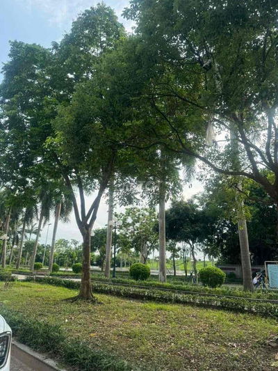 Bát Khối 360/482m Đất MT15m. 40 tỷ . View hồ, Oto tránh, KD.