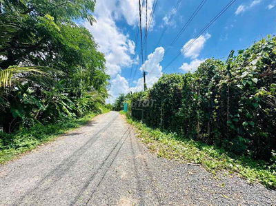 Bán 553,9m2 Đất Đường Ôtô - Phường Tân Ngãi - Vĩnh Long