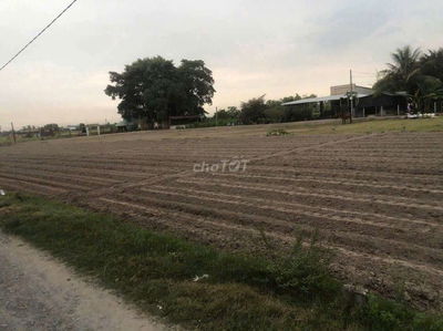 ĐẤT TÂN MỸ GẦN VINHOME CHÍNH CHỦ BÁN