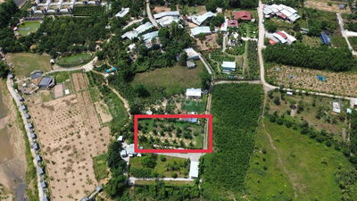 Bán vườn bưởi 900m2 loại đất trồng cây hằng năm gần kdl bà nà hills.