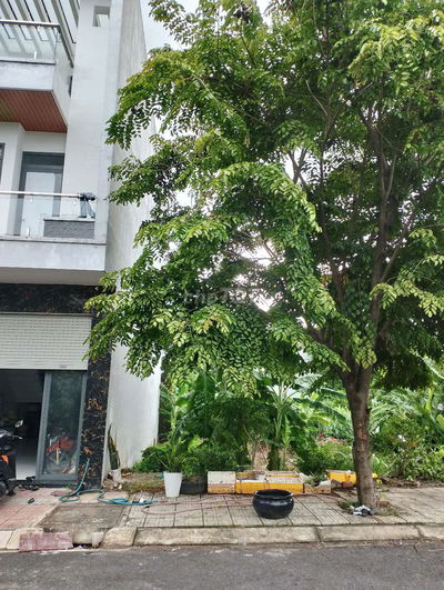 CẦN TIỀN NÊN BÁN ĐẤT AN PHÚ HCM 80m2 SỔ HỒNG RIÊNG
