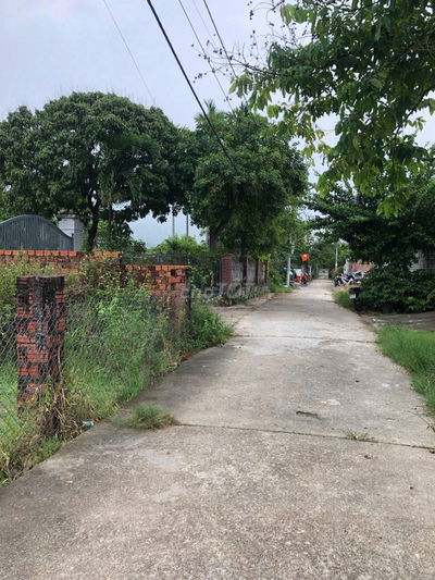 CẦN BÁN GẤP – ĐẤT KIỆT Ô TÔ THÔNG MAI ĐĂNG CHƠN – GIÁ CỰC TỐT