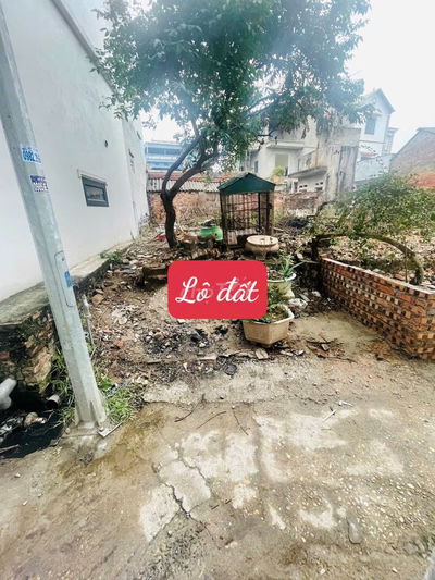 🎯 🎯Hiếm! Bán 44m2 Thuỵ Lôi, Thuỵ Lâm, Nhỏ tiền, Ở hay đầu tư đều tuyệt