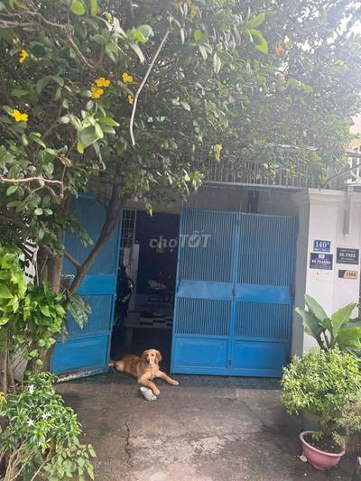 Chính chủ cho thuê nhà vừa ở vừa kinh doanh