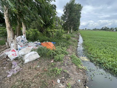 Bán đất vườn Trung Đông - Hóc môn