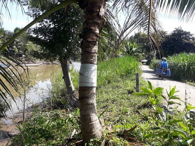 Đất cây lâu năm mặt tiền sông, đường xe tải