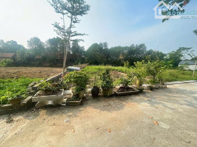 Lô đất rẻ nhất Đồi Sen Xã Bình Yên diện tích 155m2