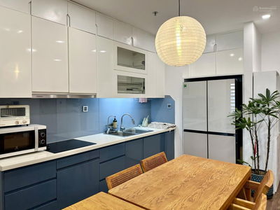 Cho thuê CC M3 Vinhomes Metropolis, 35 triệu, 78m2, 2PN, 2WC, Ba Đình, Hà Nội