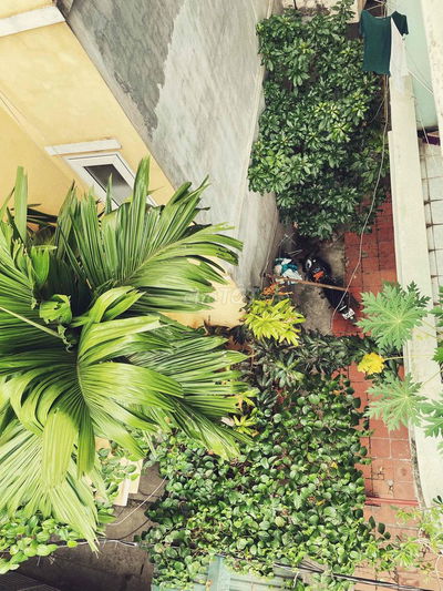 Phòng trọ 25m2 , phố Bạch Mai , Hà nội .