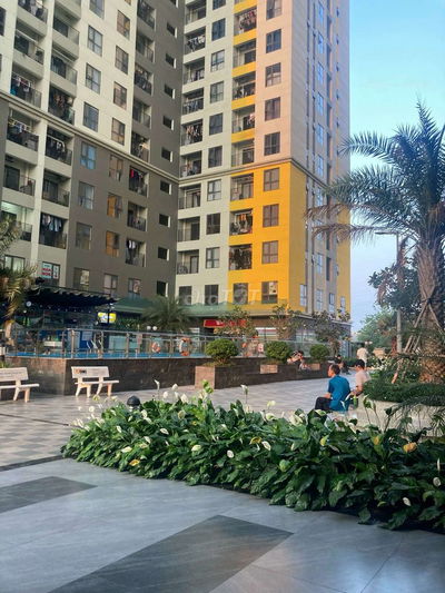 Chính chủ bán rẻ CH Bcons Plaza 2PN 56m2 giá 1,96 tỷ. Hỗ trợ mua vay