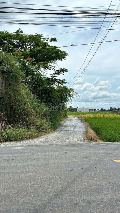 633m2 LUA + 150 THỔ CƯ , ngang 15 dài 52 ,, ĐƯỜNG ÔTÔ ,TÂN TRỤ LONG AN