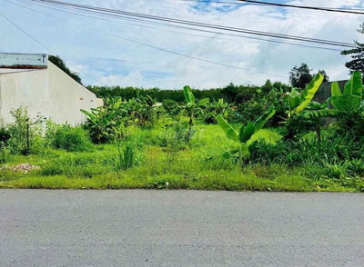 Chủ kẹt tiền cho con đi nhật bán gấp lô đất Tân Thông Hội 343m2/415tr