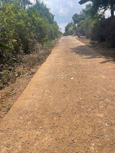 Bán Giải Quyết Công Việc. 12×65 tc149m2. 620tr Ea drông Buôn Hồ
