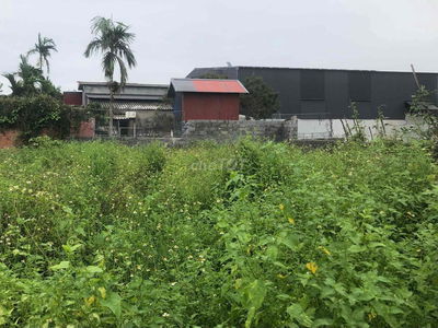 Đất ở 80m2 ngang 5m KCN Tiên Cường, Tiên Lãng, 525 triệu đồng