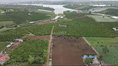 CẮT LỖ GẤP – 1 LÔ ĐẤT NGHỈ DƯỠNG VIEW HỒ ĐẸP – PHÚC THỌ, LÂM HÀ
