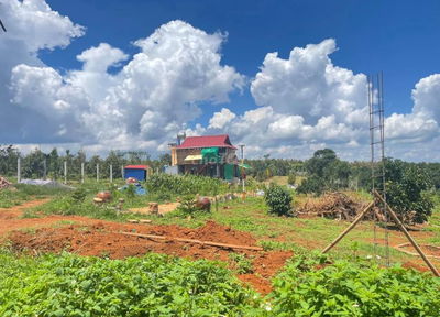 Bán nhanh đất vườn gần Đà lạt