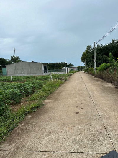 Chính chủ tôi bán 280m2 thổ giá 395tr Ngay Sau chợ An Linh, TPHCM mới