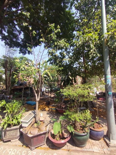 Cần bán đất sổ đỏ Kiến Á diện tích: 5x20m, 7x20m, 8x20m