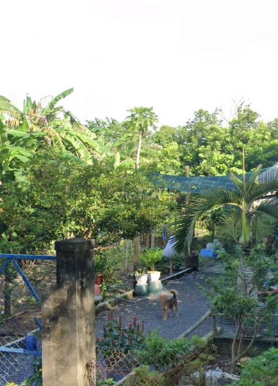 BÁN ĐẤT CỦ CHI, XÃ PHẠM VĂN CỘI