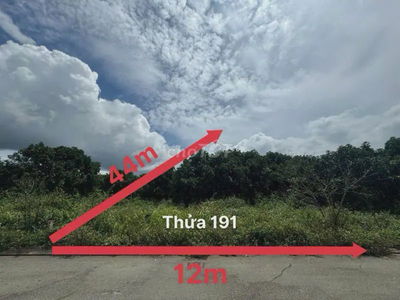 Ngân hàng phát mãi191 diện  4 lô biệt thự Nam Ban
