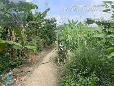 Ngân hàng thanh lý đất trống tại xã Cẩm Đường, Long Thành, Đồng Nai