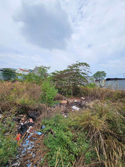 Đất 1240m ngang 28m gần ngã tư Chiêu Liêu p. Tân Đông Hiệp Tp. Dĩ An